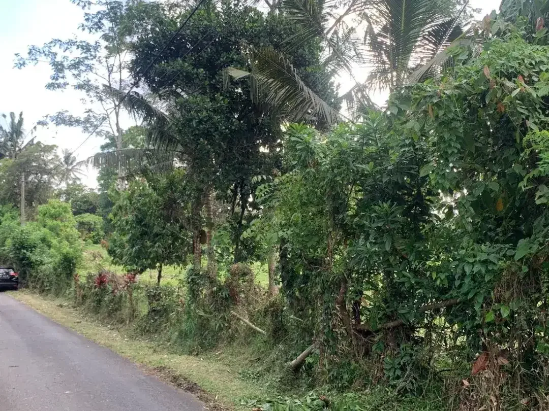 Tanah Bengkel Sari Selemadeg Barat Tabanan - Image 2 of 10