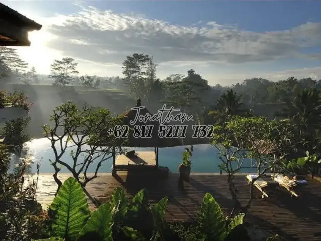 VILLA MEWAH VIEW GUNUNG DAN HUTAN LAHAN LUAS DI PERBATASAN PAYANGAN UBUD - VSRE - Image 4 of 10