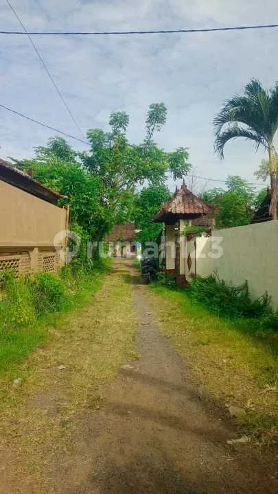 For Sale Local House In Lovina Central - Image 4 of 4