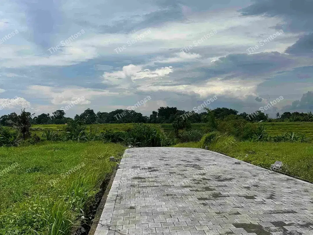 KEDUNGU TANAH PERUNTUKAN VILLA - Image 8 of 10