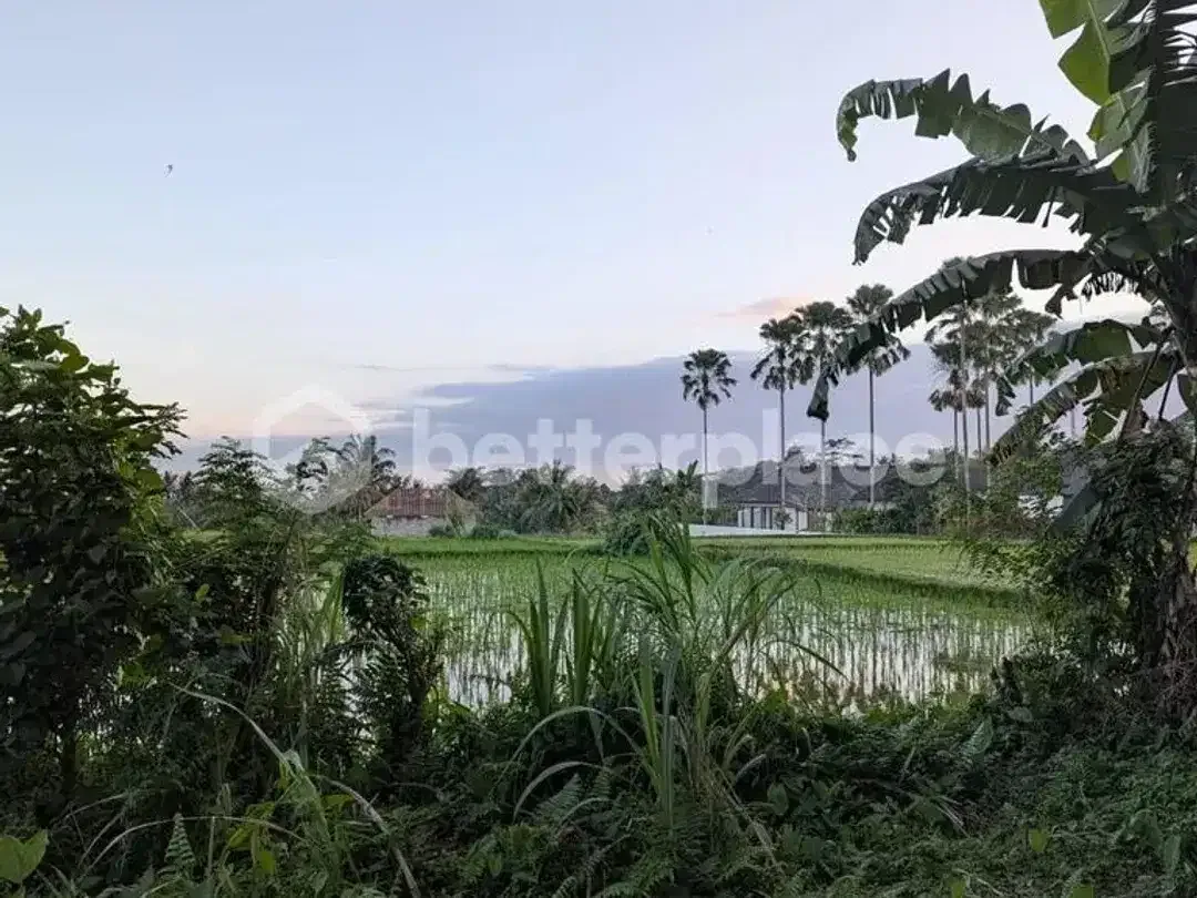 Outstanding Bali Investment Opportunity – Contemporary Luxury Villa with Flexible 2 or 3 Bedroom Configuration, Private Studio, and Prime Location Clo - Image 2 of 10