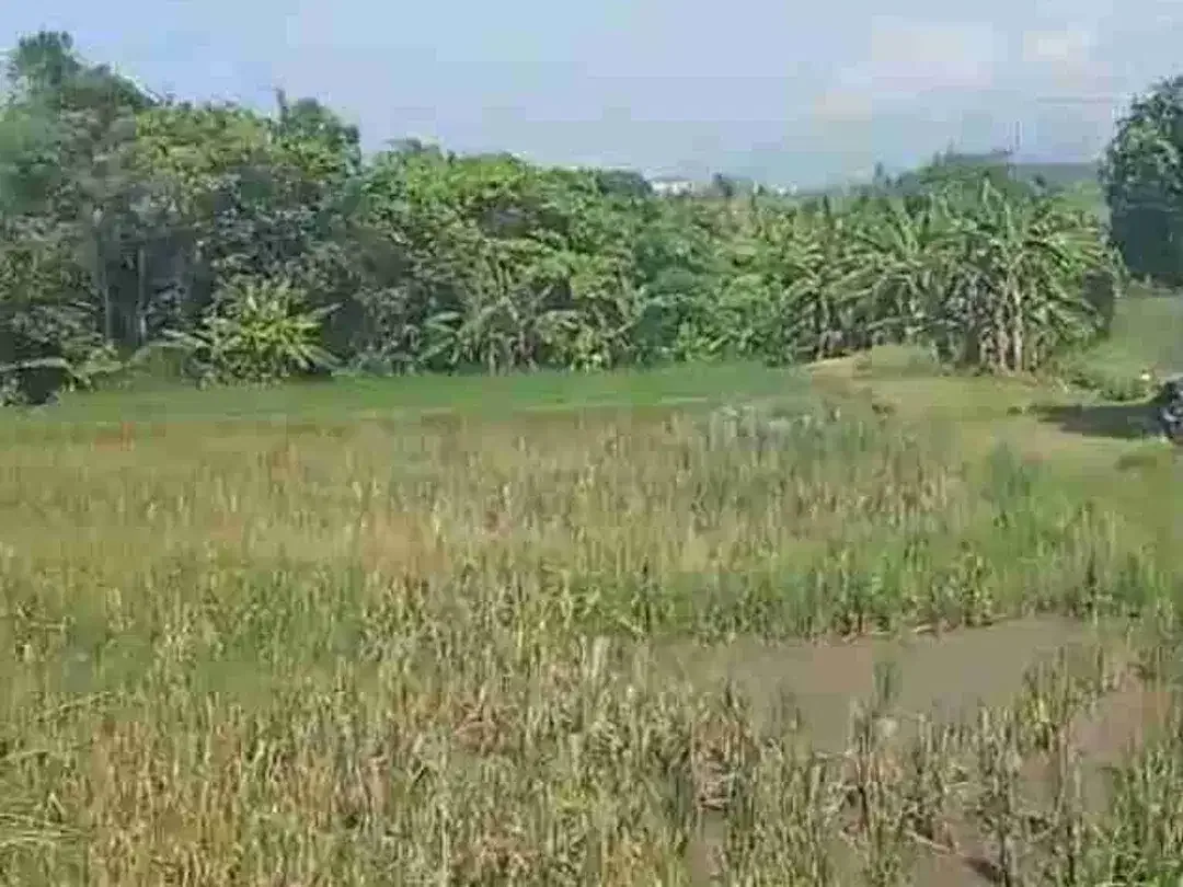 Tanah Los Pantai Pasut Tabanan View Laut dan Sawah - Image 1 of 8