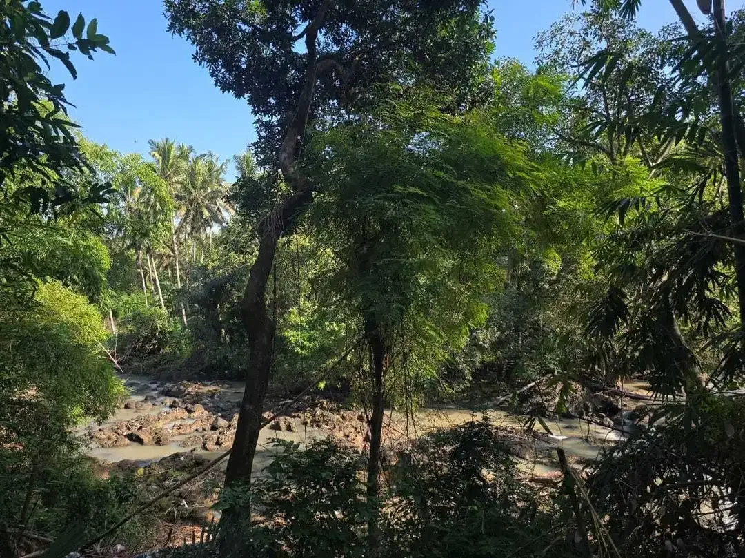 Dijual tanah los sungai di selamadeg tabanan - Image 1 of 8