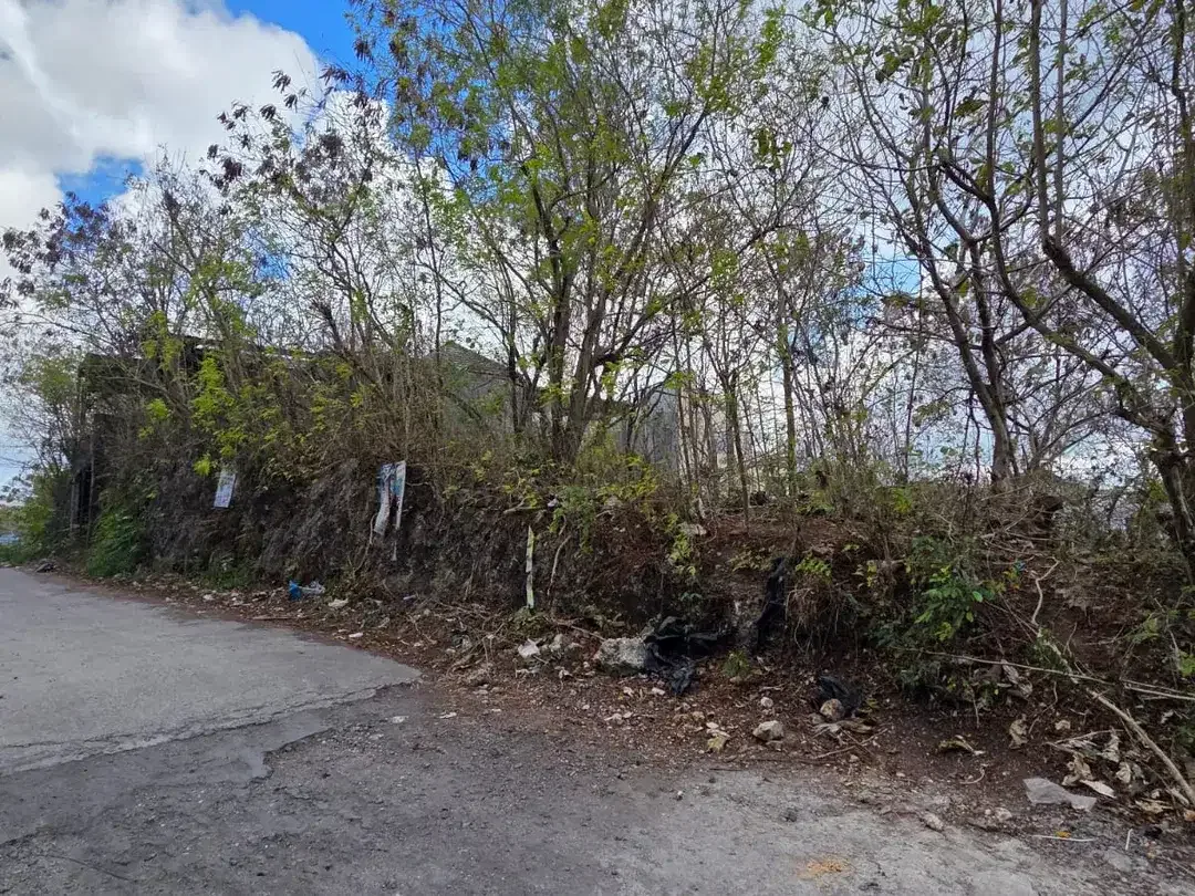 Dijual Tanah Lokasi Strategis di Pecatu - Ungasan - Image 6 of 6
