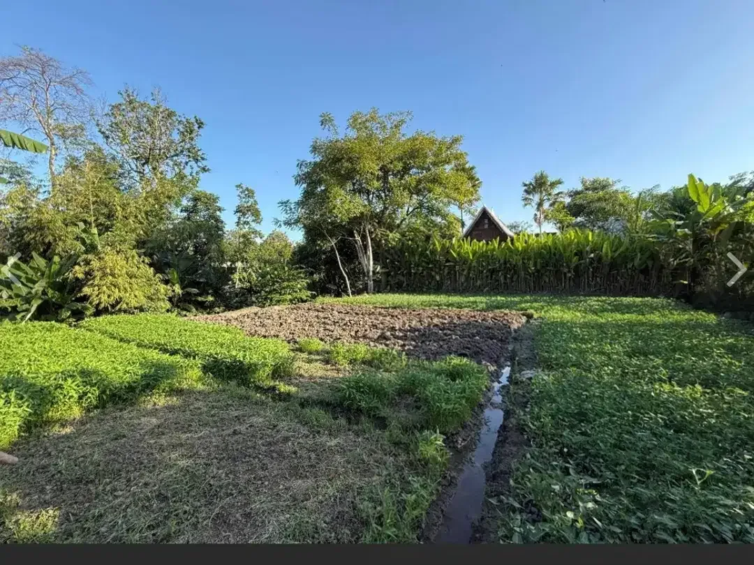 Leasehold - Rare Riverside Leasehold Land in Padonan, Canggu Area - Image 2 of 7