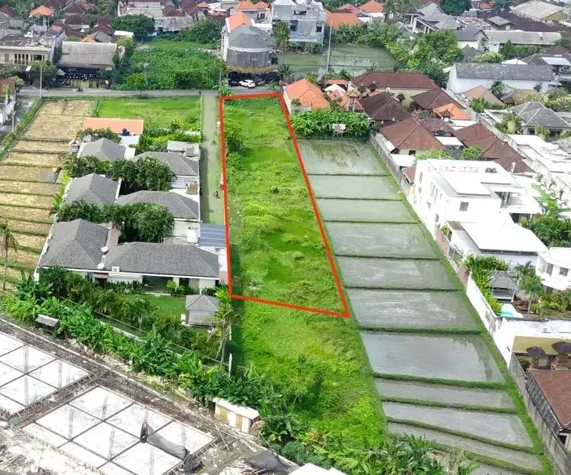 Tanah Raya Tegal Cupek Kerobokan Badung - Image 6 of 9