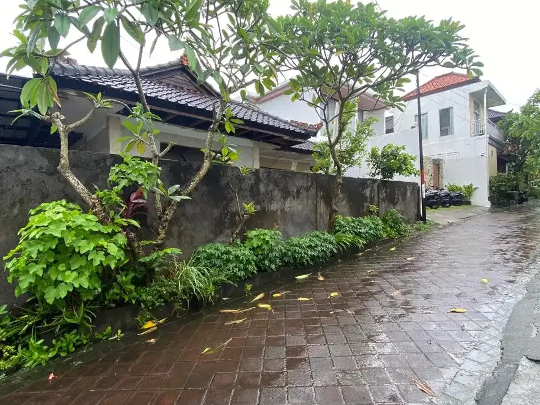 Freehold - Rare Land Plot 320 sqm for Sale in Canggu, Bali - Image 4 of 6