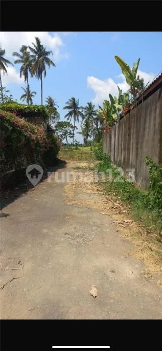 Tanah Lodtunduh Termurah Zona Kuning Cocok Villa - Image 4 of 4