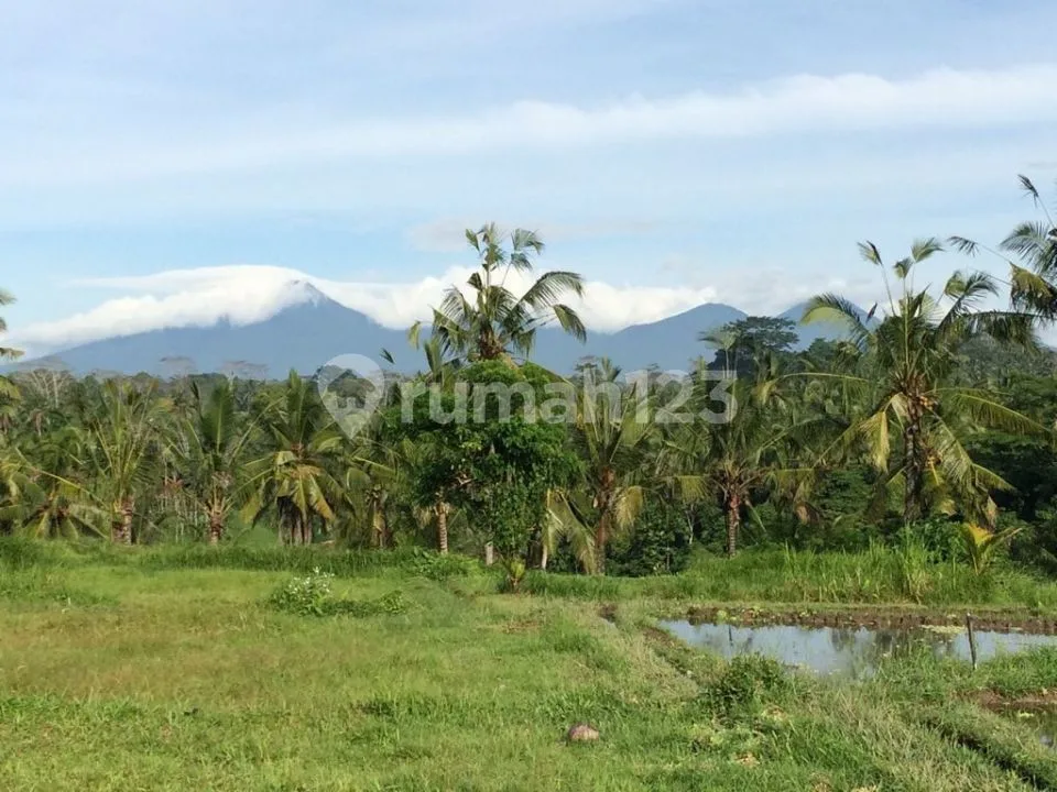 Dijual Tanah View Sawah Cocok Buat Resort ,villa, Gianyar - Image 2 of 4