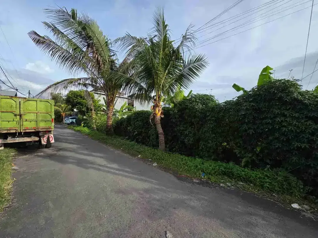 Tanah - Image 4 of 10