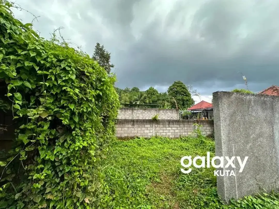 DIJUAL TANAH JUNGLE VIEW DEKAT RS SANJIWANI DI BITERA GIANYAR - Image 7 of 10