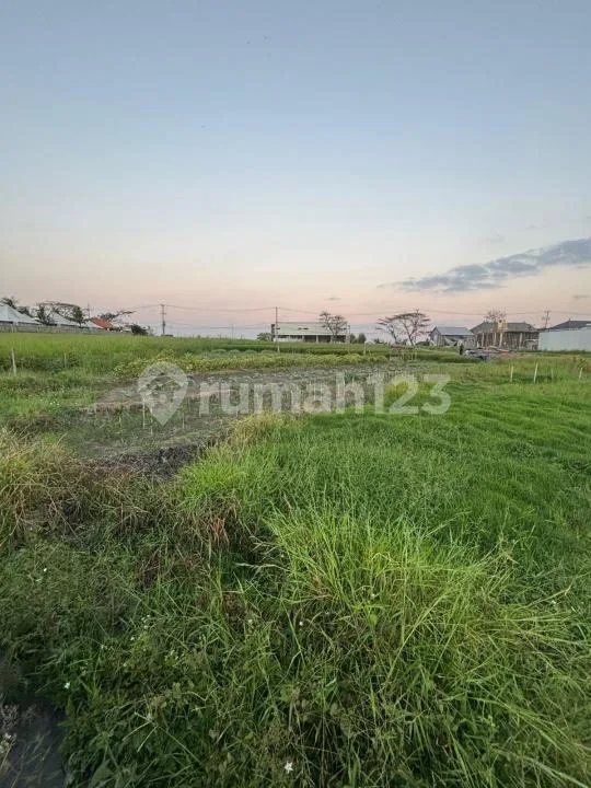Tanah Kosongdi Seseh Badung Dekat Pantai Seseh - Image 4 of 4