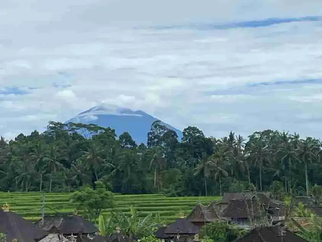 Guest House Brand New di Central Ubud - Image 7 of 9