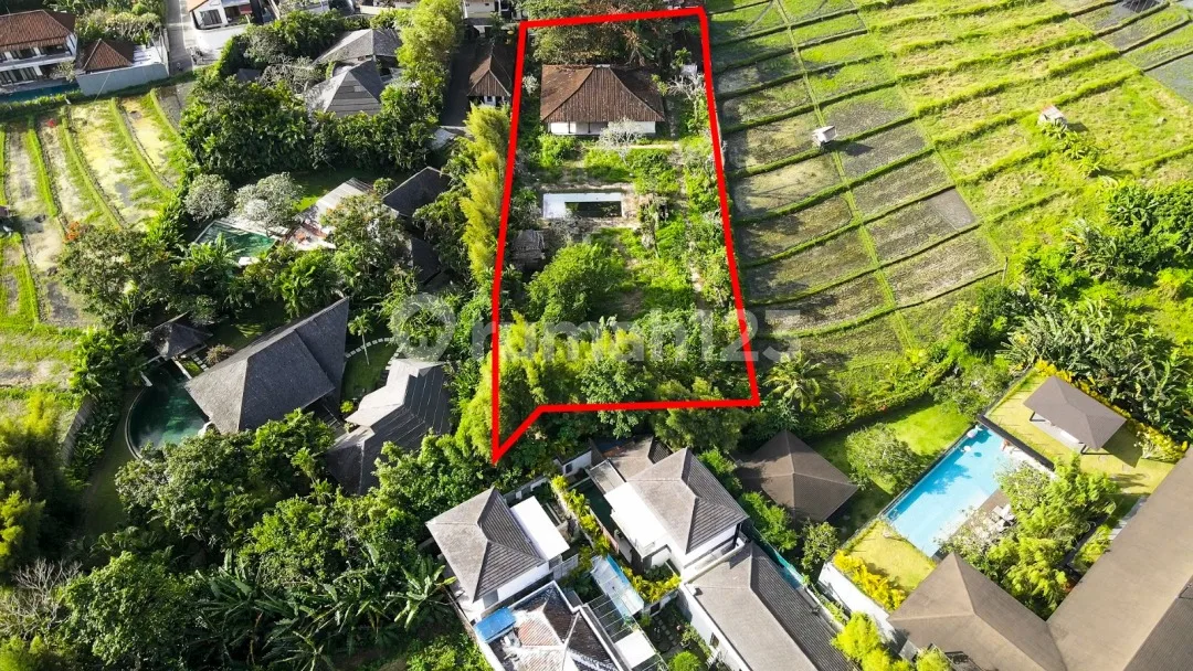 Dijual Tanah Lokasi Sangat Strategis Cocok Untuk Dibangun Villa Lokasi Di Kuwum Kerobokan - Image 4 of 4