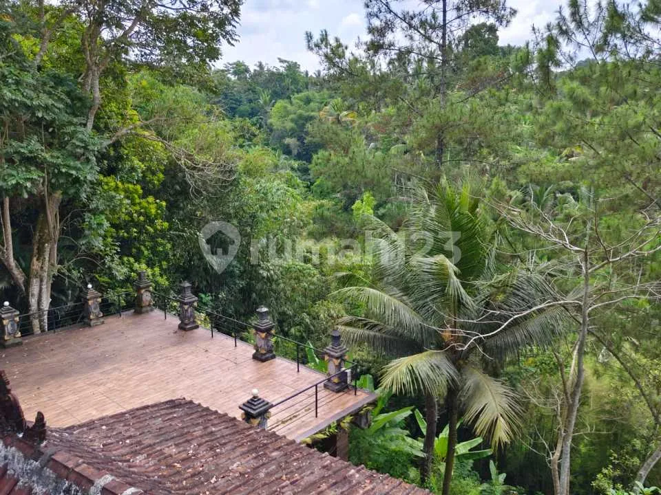 Dijual Tanah Dapat Resort View Jungle Lembah Dan Sungai Di Ubud - Image 4 of 4