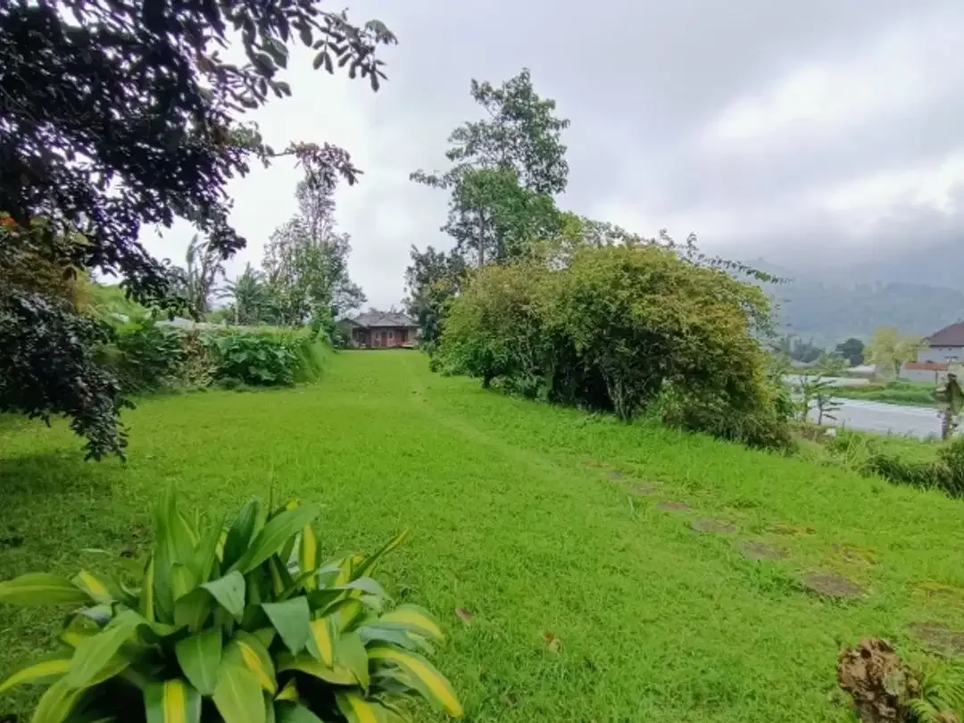 Tanah View Danau di Candikuning Bedugul - Image 8 of 10