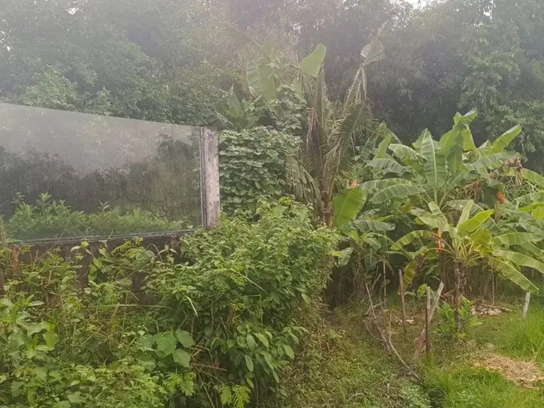 For Sale Leasehold Land in Umalas Tunon - Image 4 of 7