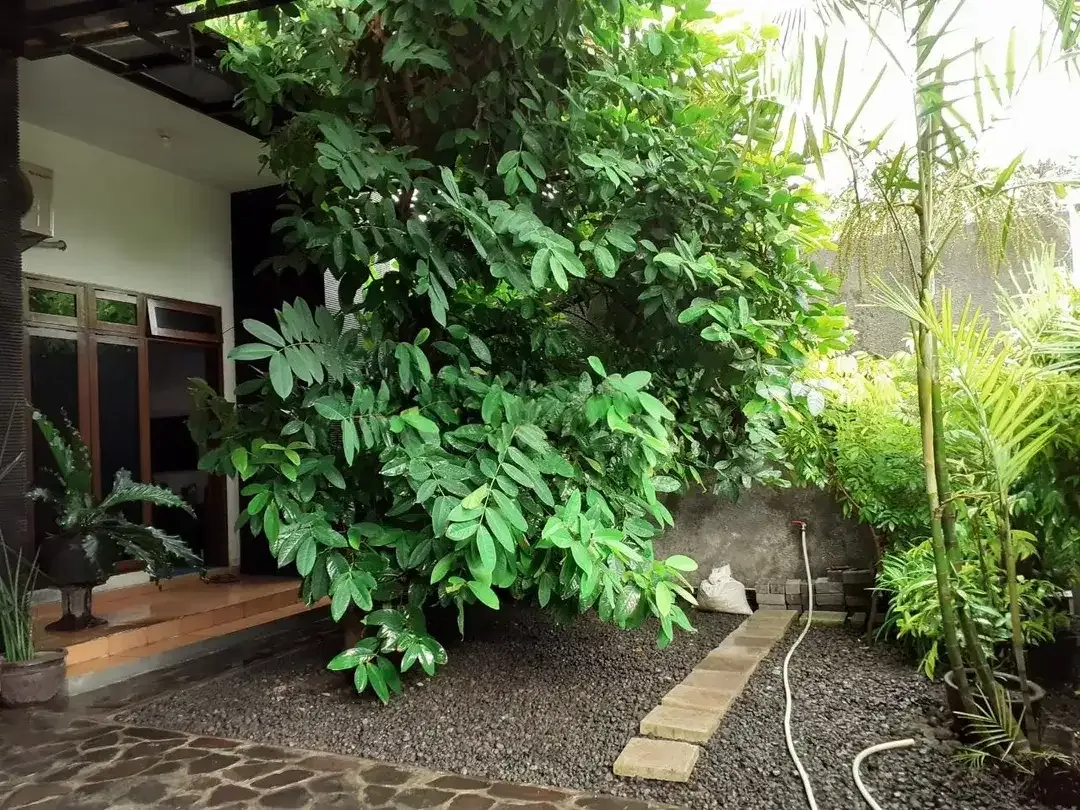 Rumah 2 Lantai 3BR di Sidakarya Denpasar - Image 4 of 5