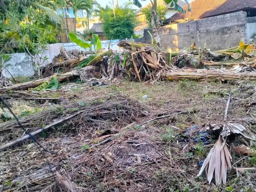 Land for rent  350m2  in the Seminyak area - Image 3 of 5