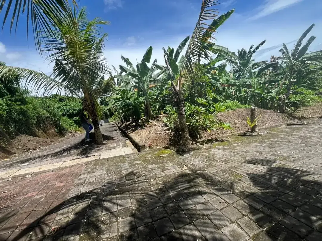 Kavling Premium di Gianyar Cocok untuk Investasi - Image 6 of 7