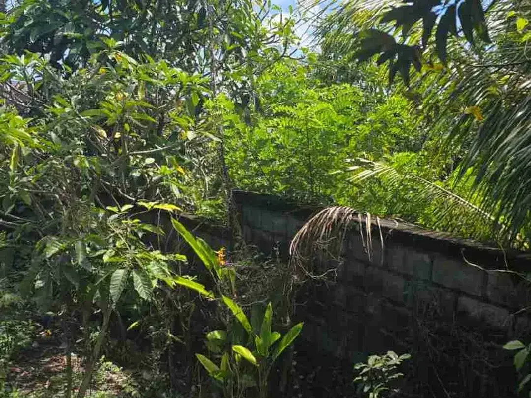DIJUAL TANAH DEKAT OBJEK WISATA JALAN ULUWATU - Image 3 of 4