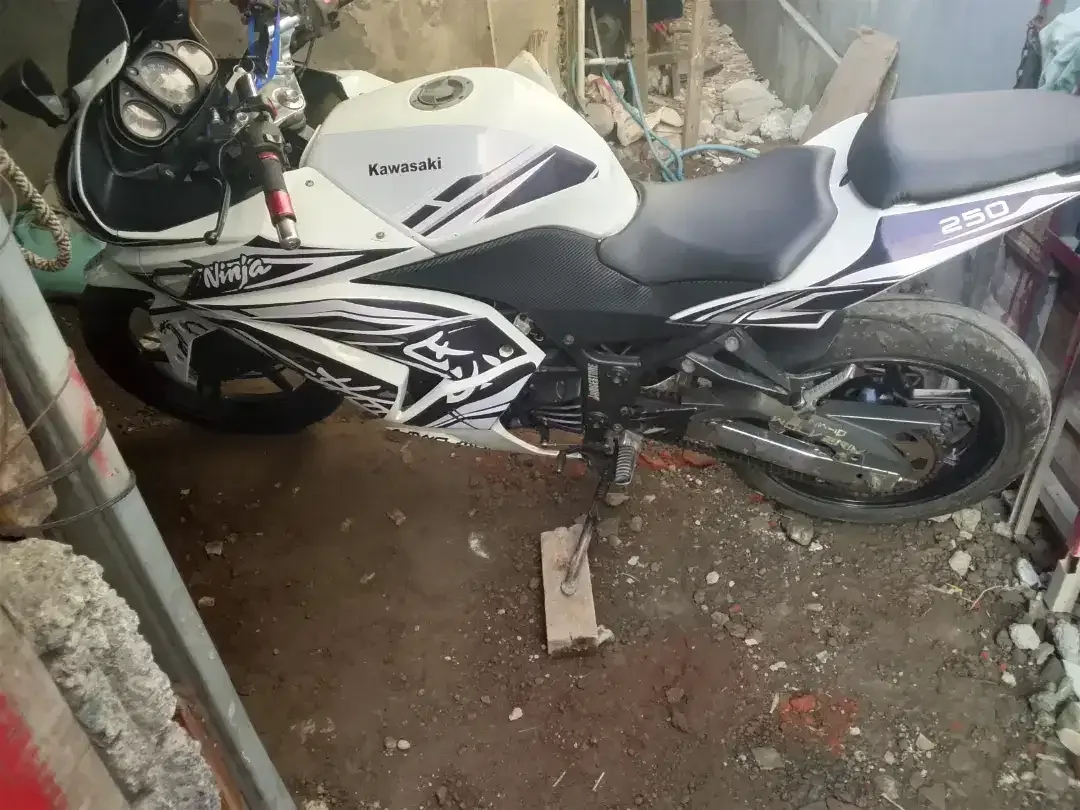 Ninja karbu 250cc - Image 4 of 5