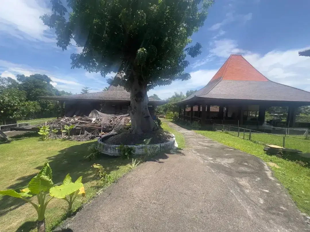 LAHAN PINK ZONE  LOKASI STRATEGIS VIEW SUNGAI DAN SUNSET DI AREA BERAWA CANGGU - Image 10 of 10