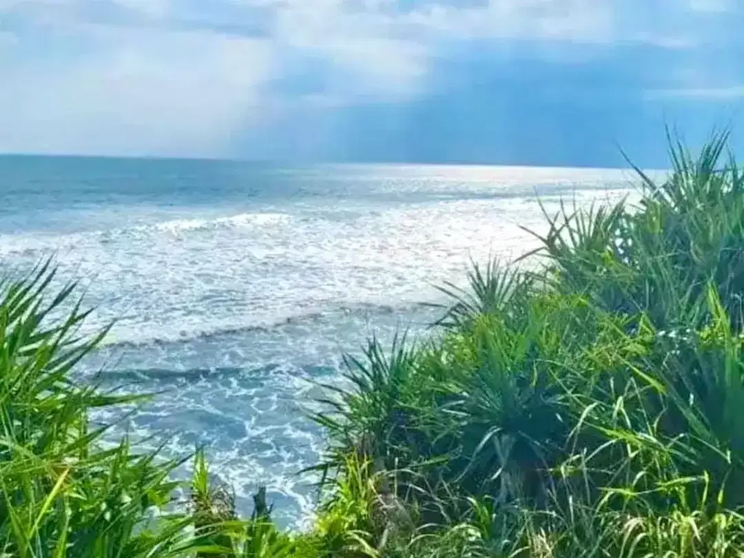 Tanah los pantai nyanyi tabanan - Image 7 of 10