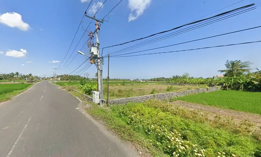 Prime land of 1446 sqm for sale in Pangkung Tibah Beach area, Tabanan - Image 7 of 7