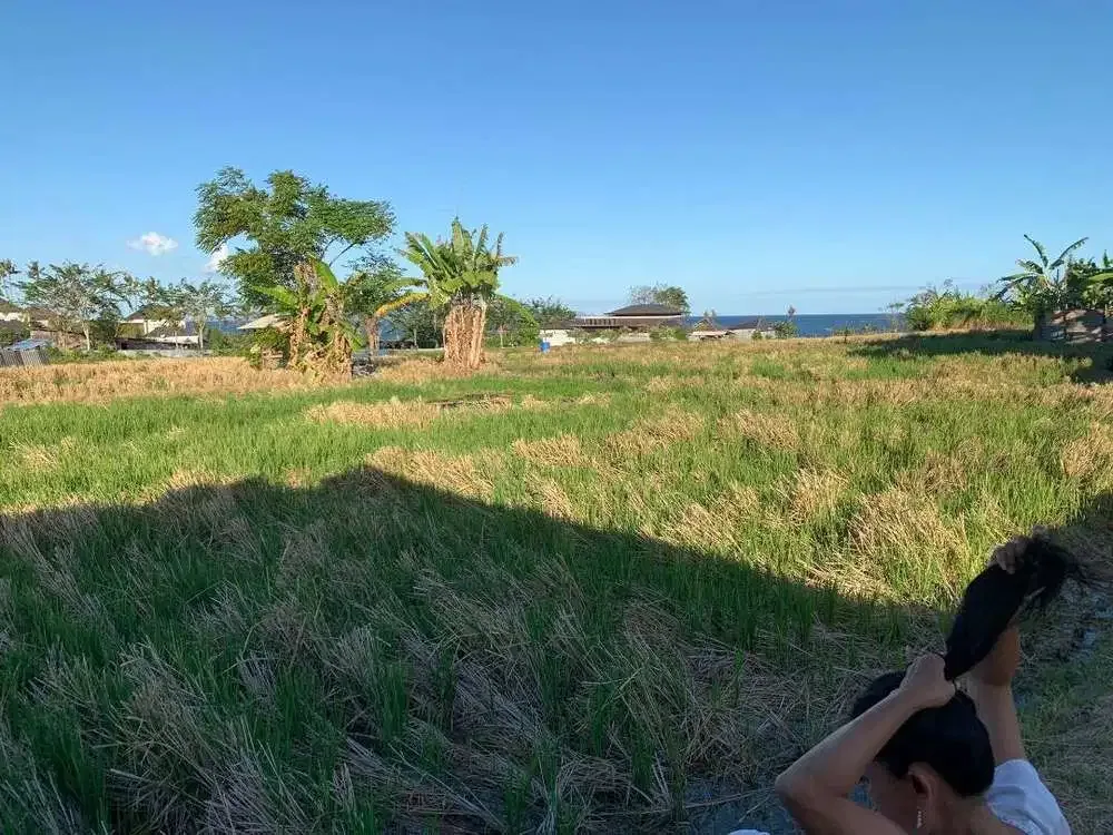 DIJUAL TANAH VIEW LAUT DI KETEWEL GIANYAR - Image 2 of 7