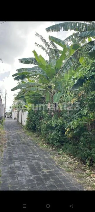 Di Jual Tanah Lokasi Batu Belig Seminyak Badung - Image 3 of 4