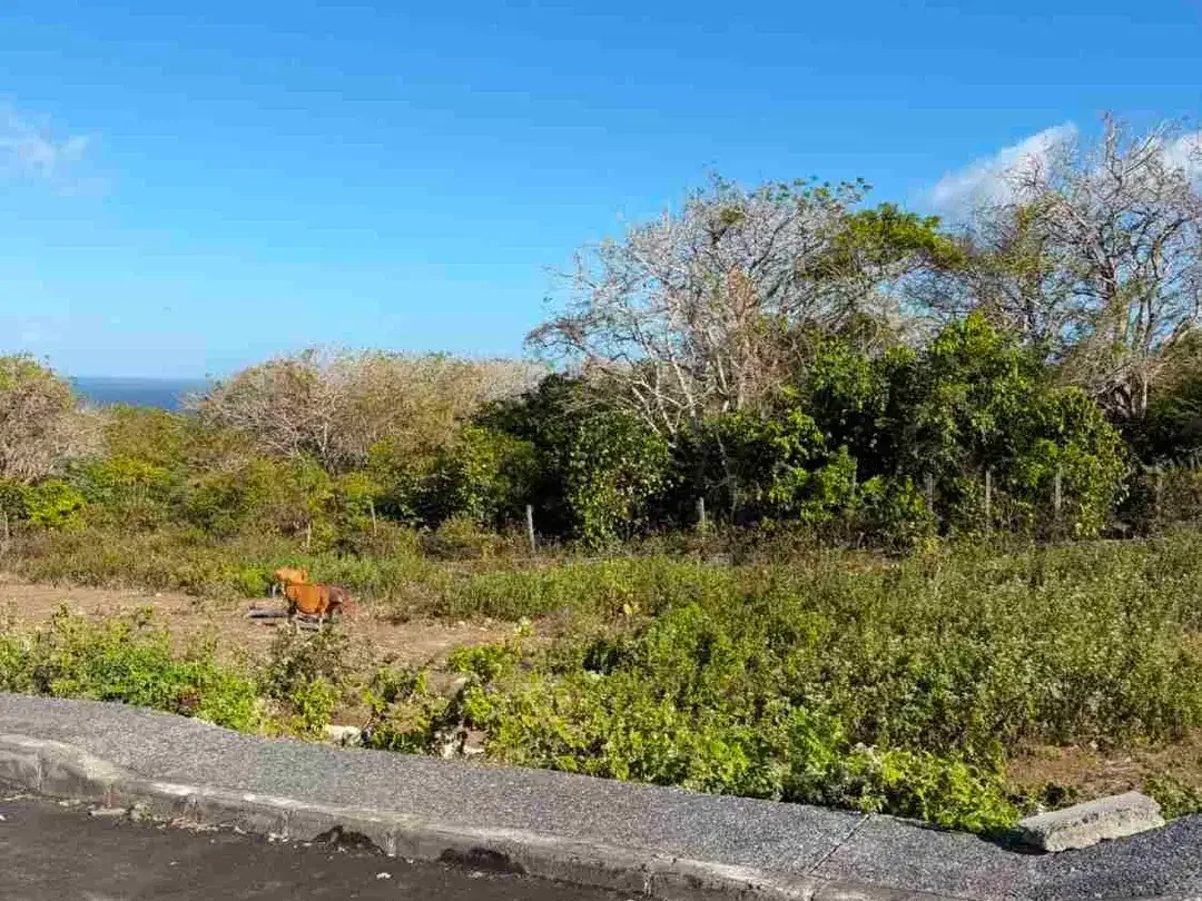 Dijual Tanah Unblock View Luas 485m2 Di Nusa Dua Bali - Image 6 of 10