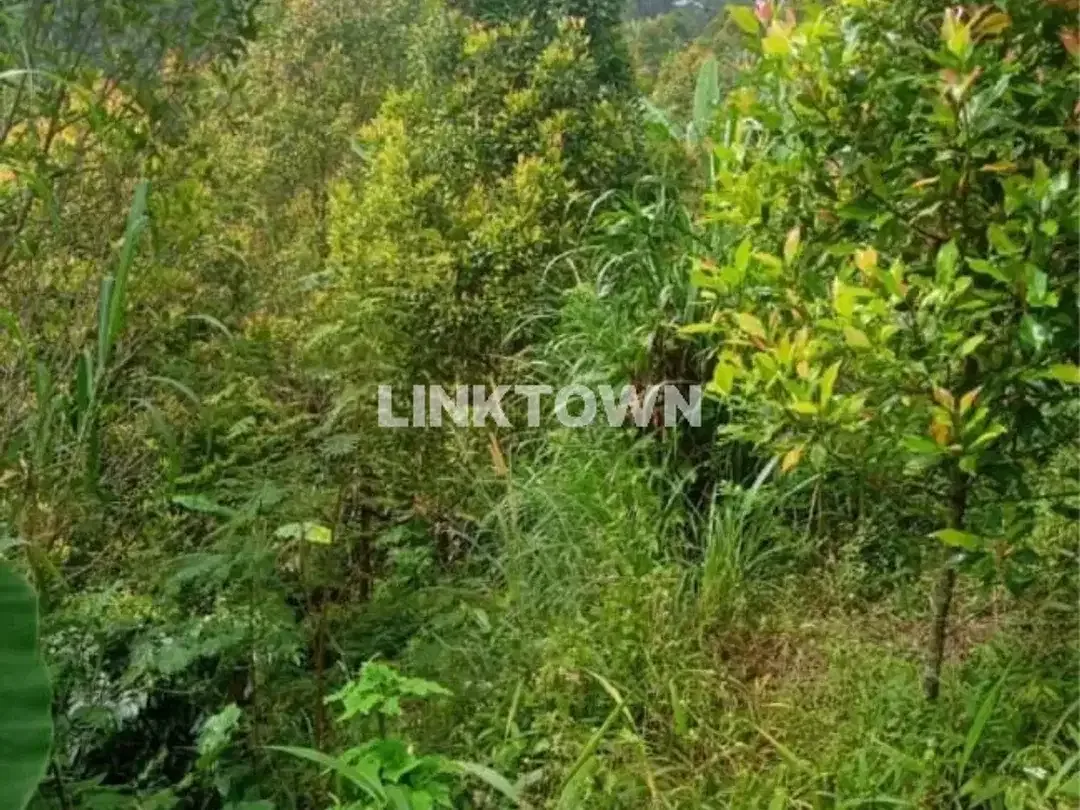Dijual tanah 6,5ha (651,20 are) di kawasan wisata TURYAPADA TOWER dekat Bedugul Bali - Image 10 of 10