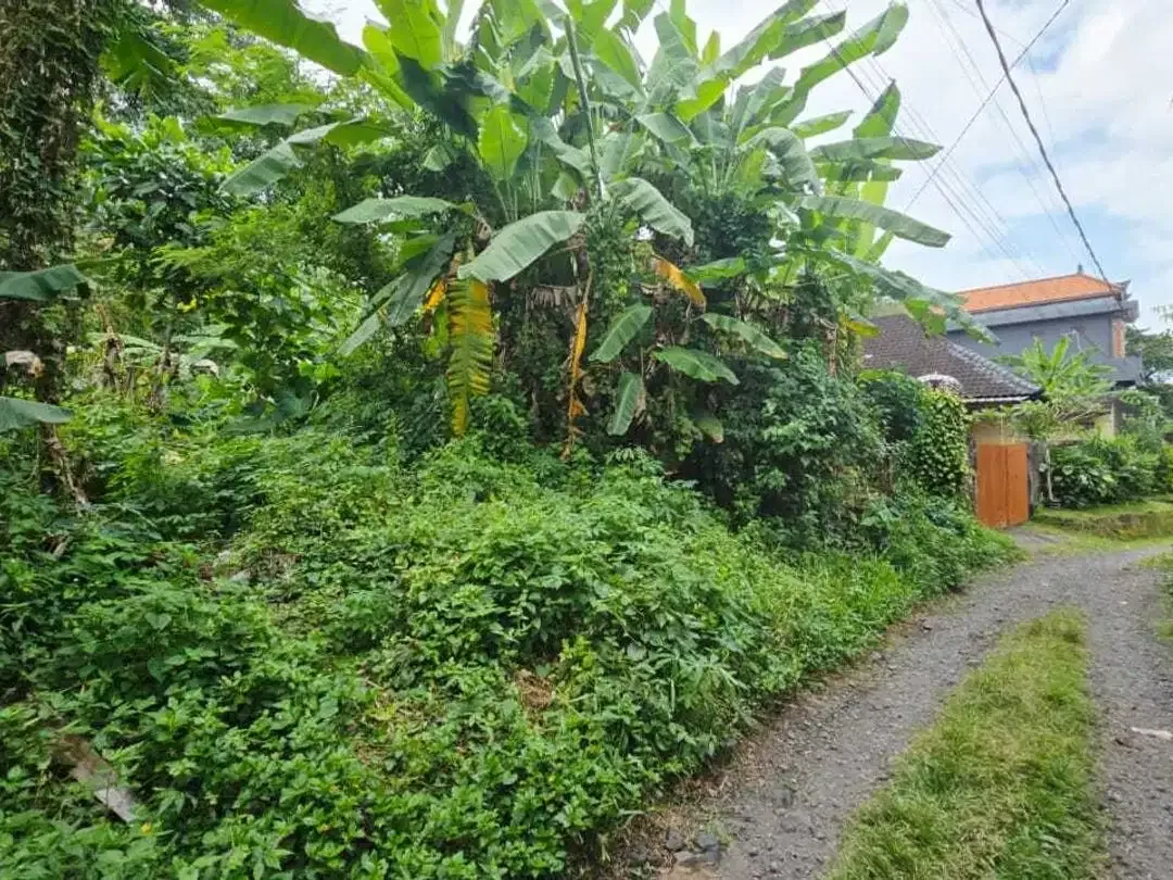Tanah Pemukiman Dekat Wood School di Pejeng- Ubud Area - Image 6 of 9