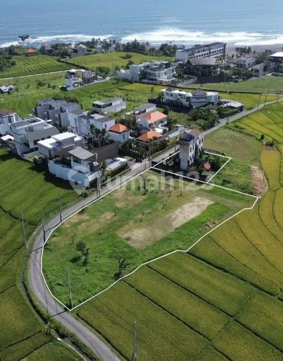 Tanah 3080m2 di Cemagi , View Sawah Dan Laut , Lingkungan Villa - Image 4 of 4