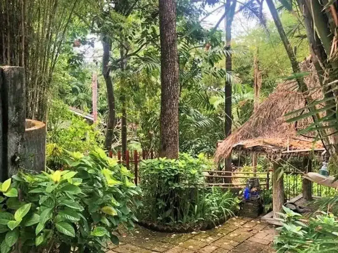 Land for sale in Pererenan, Bali - Image 10 of 10