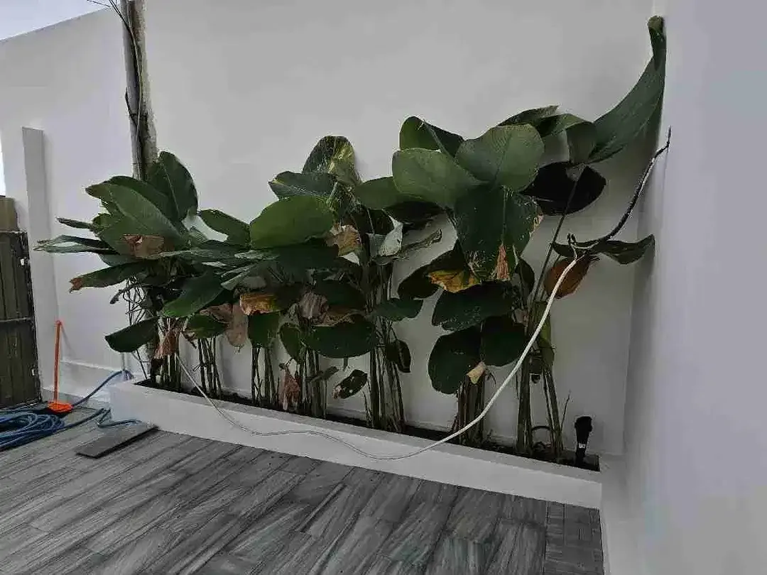 new brand villa dekat pantai kedungu tabanan - Image 5 of 8