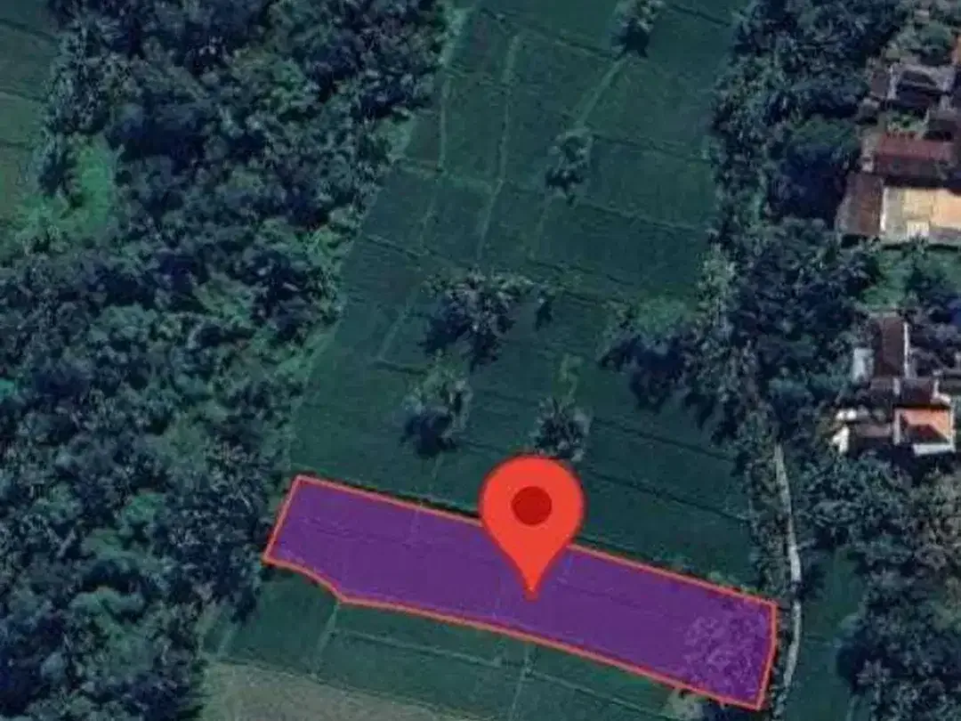Prime 3.130 sqm of Leasehold Land with Stunning Rice Field Views Ubud - Image 6 of 6