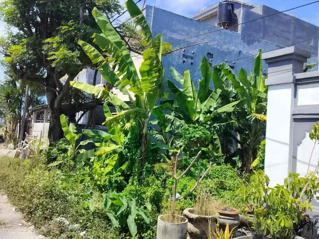 SALE Tanah Renon 1,75 Are SHM Dekat Bypass Sanur - Image 3 of 5