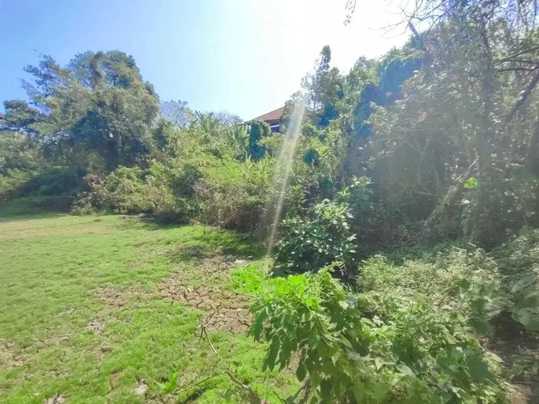 Tanah Dijual Cepat Dekat Pantai Yeh Gangga - Image 9 of 10