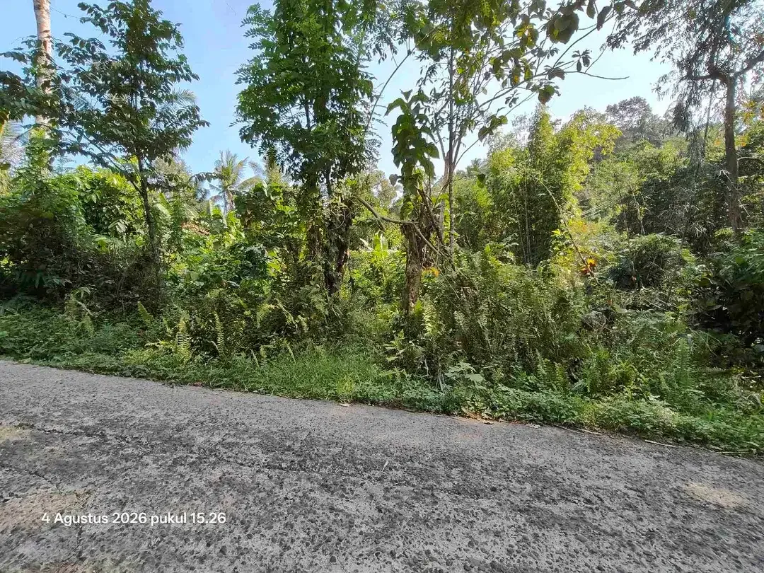 Tanah Kebun Pinggir Sungai dekat Pantai Kelecung Bali - Image 3 of 4