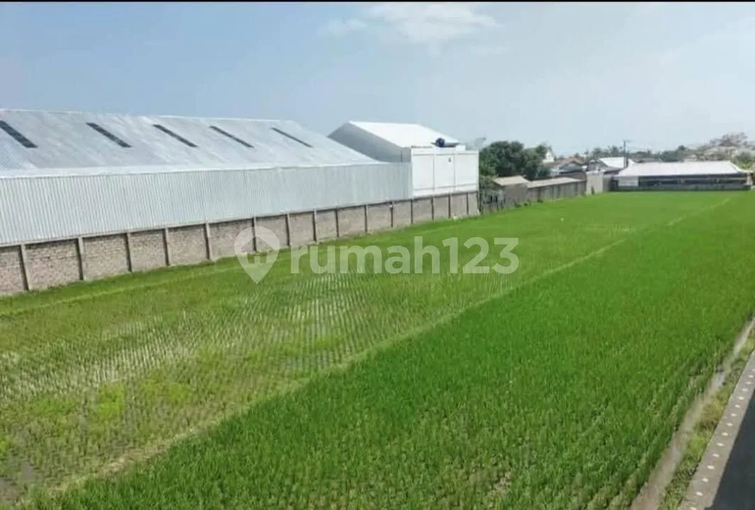 Villa Lengkap Lokasi Strategis View Sawah Dekat Pantai di Munggu - Image 4 of 4