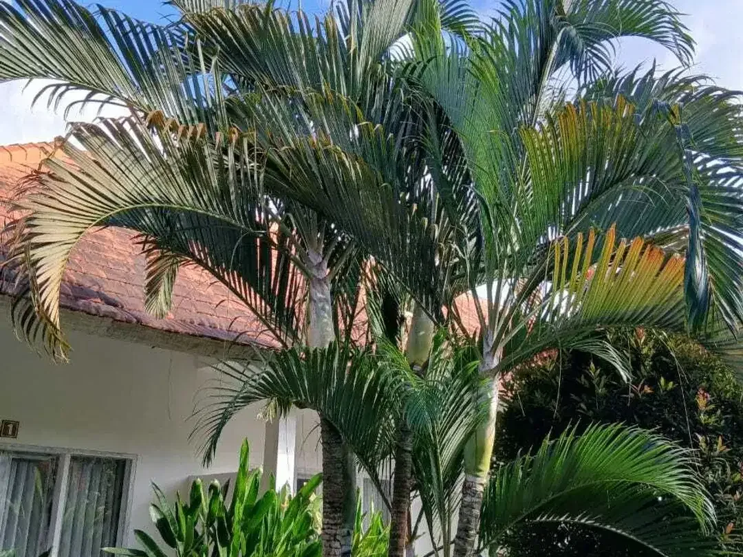 5 Bedroom Villa for sale in Ungasan, Bali - Image 9 of 10