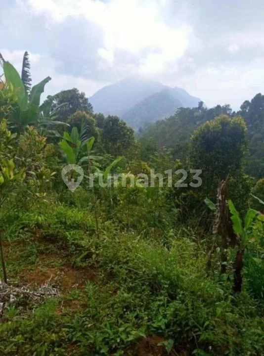 Dijual Tanah 6.5Ha di Kawasan Utara Turyapada Tower Bali Utara - Image 1 of 4