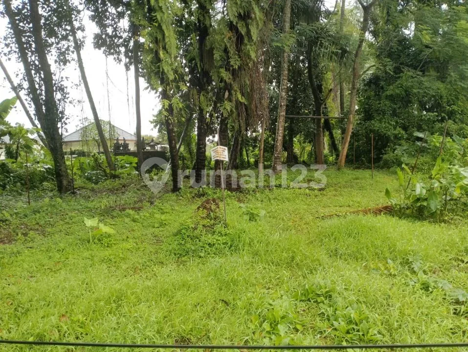 Tanah Kavling Zona Kuning Strategis Dkt Jembatan Nyuh Kuning Ubud - Image 2 of 4