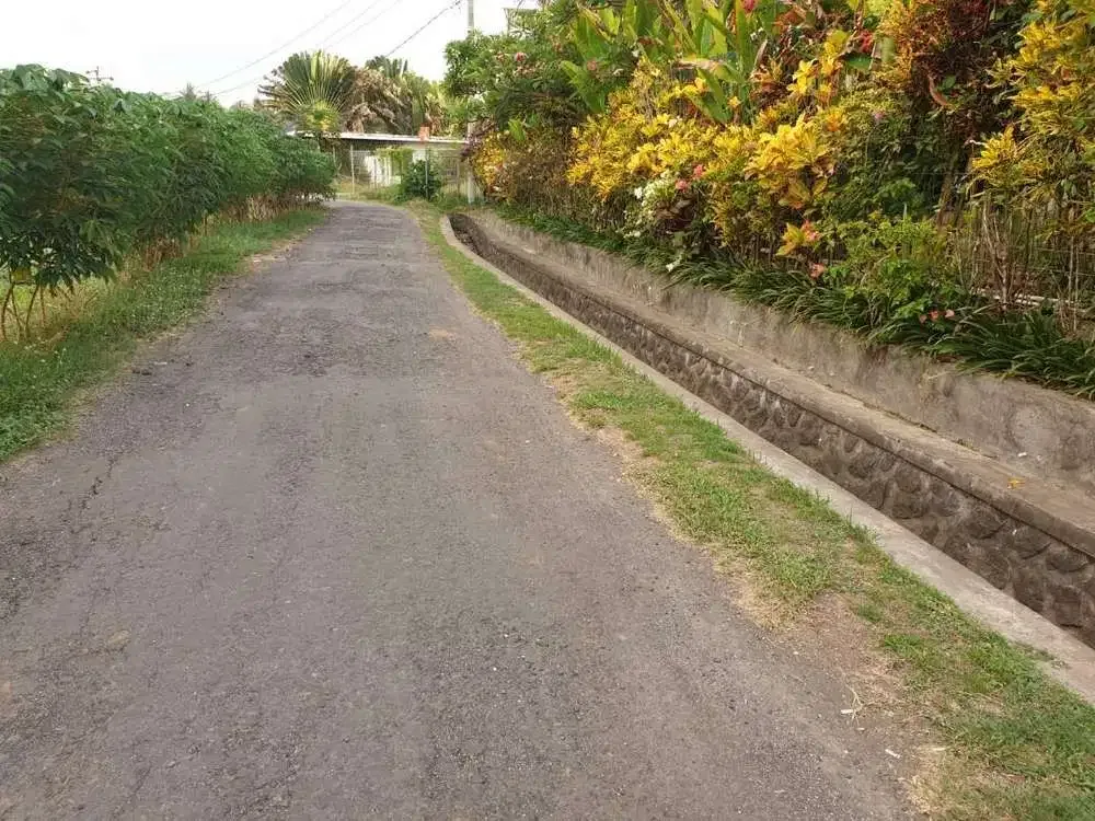 FOR SALE BEACHFRONT LAND AT TABANAN - Image 4 of 5