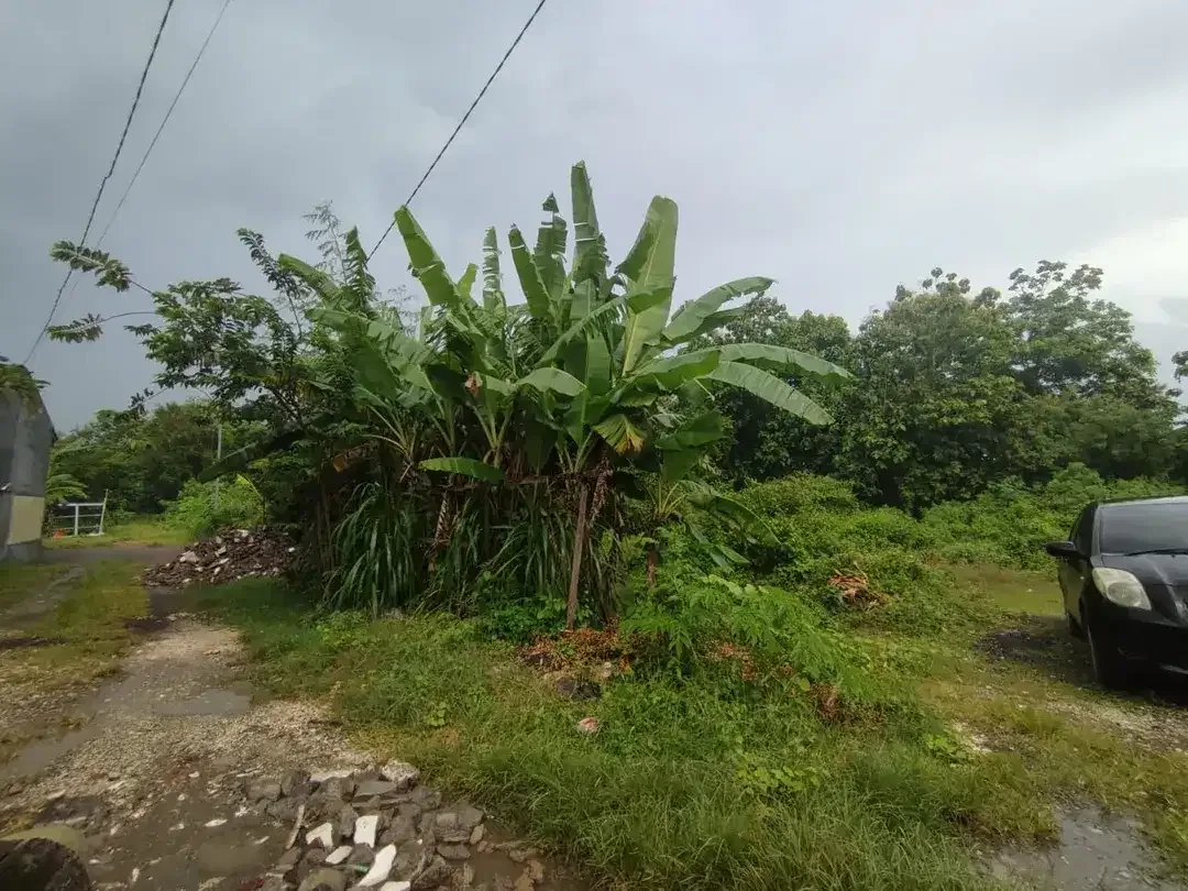 Dijual Tanah Dekat ke Pantai di Mumbul, Nusa Dua - Image 5 of 10