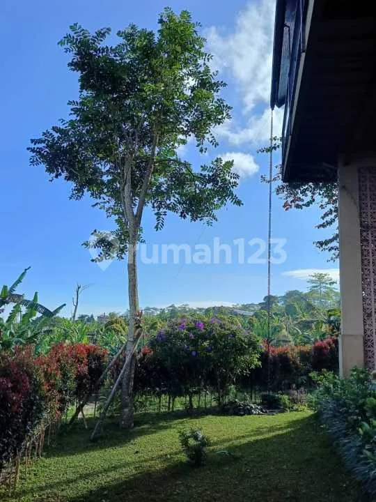 Price Drop 2 Bedroom Villa Munduk Ocean Mountain View Furnished - Image 4 of 4