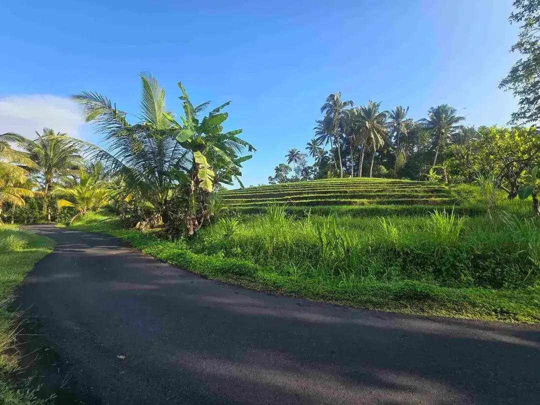 Dijual tanah kecil  sawah dan kebun di lingkungan villa tabanan bali - Image 2 of 10