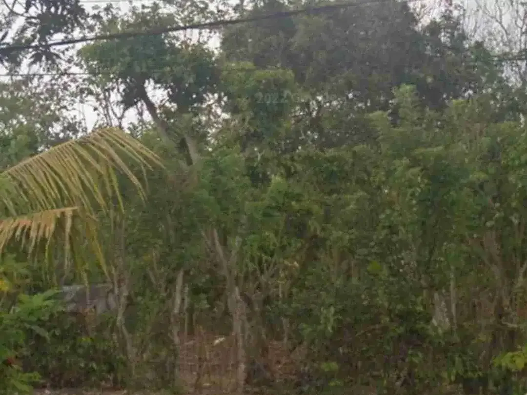 Land For Leasehold in Main Road Langui Ungasan Bali - Image 2 of 3